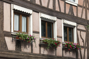 Fototapeta na wymiar Window and flowers
