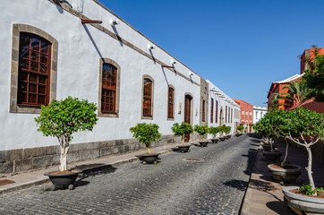 Beautiful white building with small trees in pots on a street with cobbles