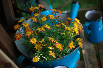 Alte Emailleschüssel mit Blumen