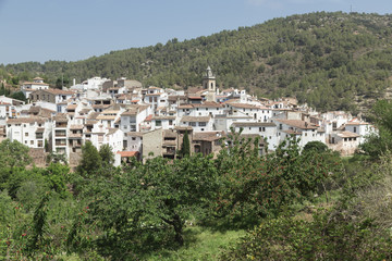 Fototapeta premium partial view of Aín, Castellón, Spain