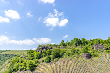 Ruin of Schloss Boeckelheim Castle. Rhineland-Palatinate, Germany. Accepted birthplace of Saint Hildegard of Bingen.