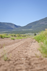 Fototapeta premium Down on the dirty ground of the dirt road in the open range. 