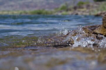 Fototapeta na wymiar A close up of the splashing water in the green river