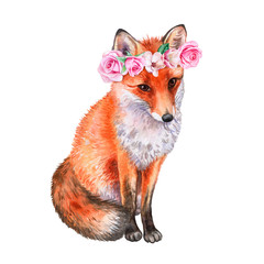 Fox in a flower wreath. Crown with roses. Watercolor. Illustration. Template. Close-up. Clip Art. Handmade Image. Picture