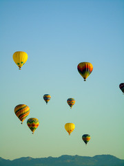 Balloons Napa Valley