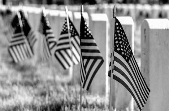 Black and White Image of American Flags and Headstones