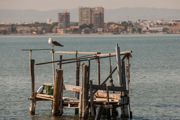 Artifact of fishing in the Mar Menor of Murcia. Spain