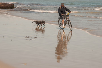 Man on bicycle has fun with his dog on the beach
