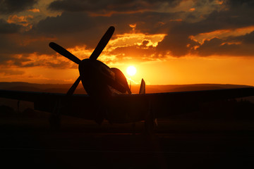 P-51 Mustang - Roanne 2014 - obrazy, fototapety, plakaty