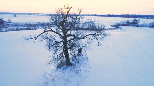 flight over filds in winter