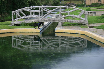 Fototapeta premium Black pug and bridge reflected in pool