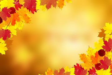 Naklejka na ściany i meble Sunny colorful fall season leaves decoration on blurry bokeh copy space background. Selective focus used.