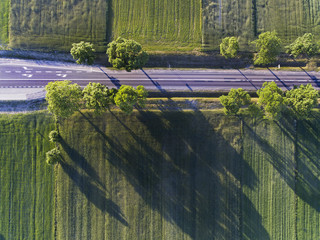 Road and green fields.