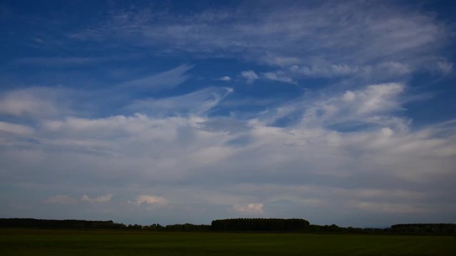 field of green rise and cloudy sky