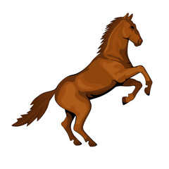 Plakat Isolated figure of a horse