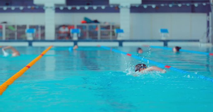 Professional swimmer in the pool swims free style