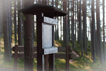 Signgpost in forest