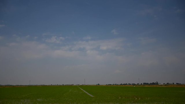 field of green rise and cloudy sky