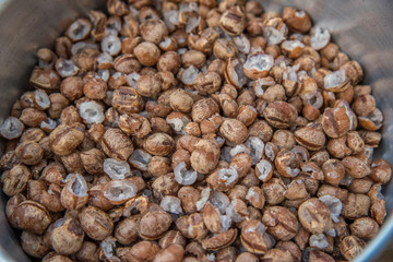 Licuri fruto do coquinho