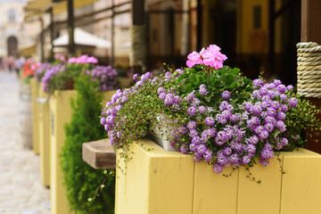 Fototapeta na wymiar Restaurant in the afternoon decorated with purple flowers in the old town.