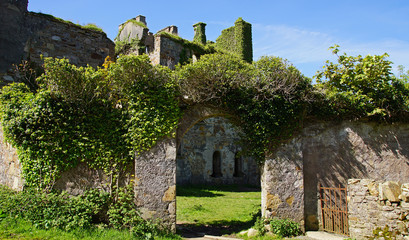 Fototapeta premium Clifden Castle 2018 4