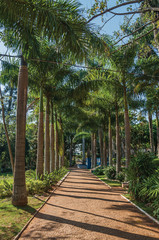 Pathway with cobblestone amidst a lush garden full of tall trees and palm trees, in a sunny day at São Manuel. A cute little town in the countryside of São Paulo State. Southeast Brazil.