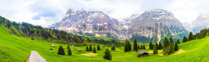 Fototapeta na wymiar Beautiful Landscape of Grindelwald , Switzerland