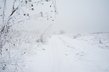 Dirt road in the winter