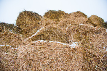 Storage with piles of stacks of hay