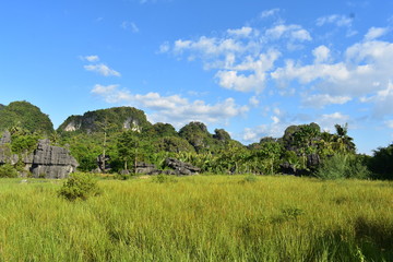 Rammang Rammang