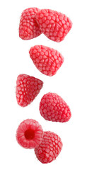 Falling raspberry fruits isolated on white background with clipping path