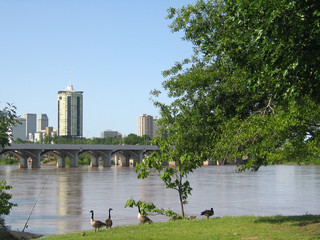 Tulsa Oklahoma from the west bank of the Arkansas River with baby geese and a fishing pole