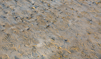 Beach in Brittany