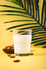 Glass of almond milk with almonds in wooden bowl on yellow tropic summer background with green palm tree leaf, day time summer concept, organic vegetarian homemade healthy drink breakfast 