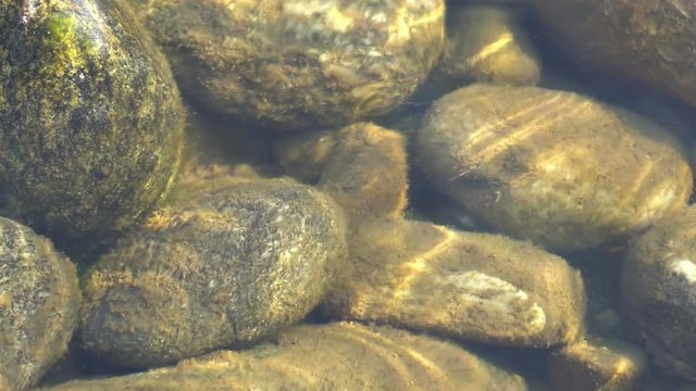 Beautiful view of Murti river, water flowing and touching over stones in beautiful rhythm. Scenic beauty of Dooars landscape, West Bengal, India in 4K, stock video with sound of river.