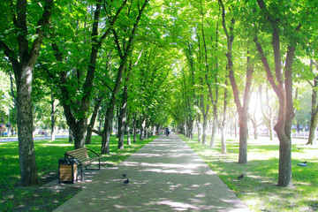 City park with promenade path benches and green trees. People have a rest