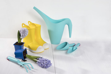 Yellow rubber boots and blue watering can with a bouquet of flowers of yellow daffodils and white...