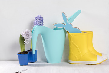 blue watering can with a bouquet of flowers of white and pink tulips on the white background. Garden accessories.