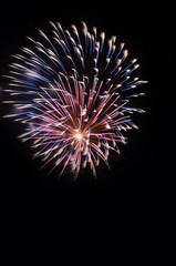 Exploding Fireworks in the night sky