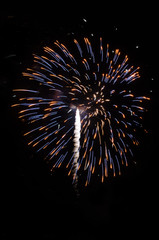 Exploding Fireworks in the night sky