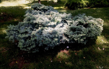 Baku. Azerbaijan. Philarmonic Fountain Park