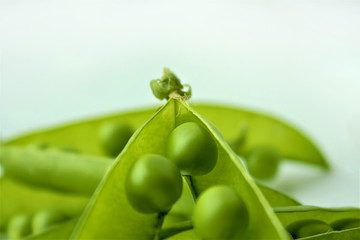 Green peas or peas (Latin Písum) cerebral. Ingredient for cooking, raw food and feed. Close-up.