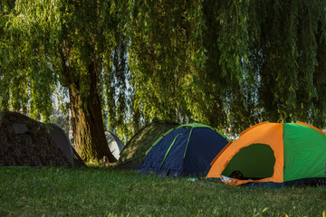 tent on nature summer park outdoor environment 