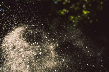 drops and raindrops of the morning dawn. summer. bokeh summer rain.