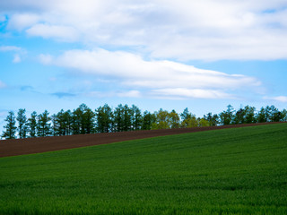 北海道の風景