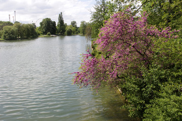 Paris - Bois de Vincennes