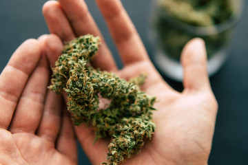 Macro shot of cannabis flowers with trichomes in hand man with a dark background top view