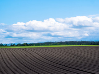 北海道の風景