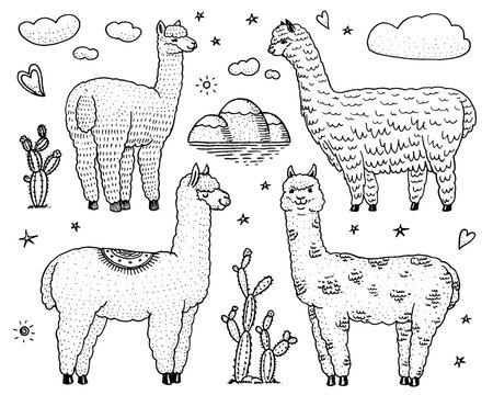 Set of cute Alpaca Llamas or wild guanaco on the background of Cactus and mountain. Funny smiling animals in Peru for cards, posters, invitations, t-shirts. Hand drawn Elements. Engraved sketch.