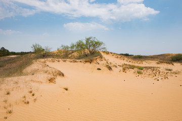 Fototapeta na wymiar landscape in oleshky sands, desert in Ukraine